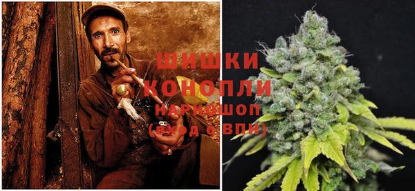 PSILOCYBIN Пересвет