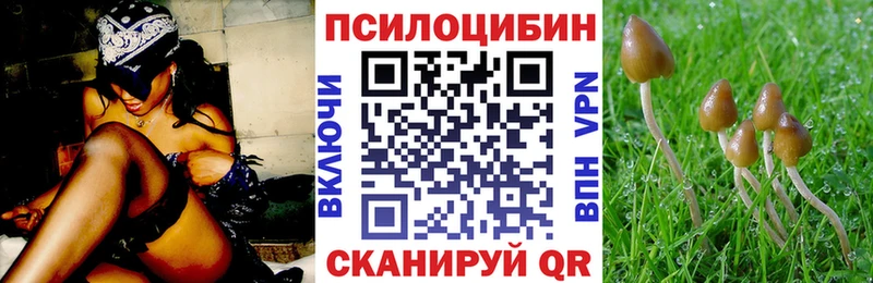это как зайти где найти Красавино Галлюциногенные грибы ЛСД